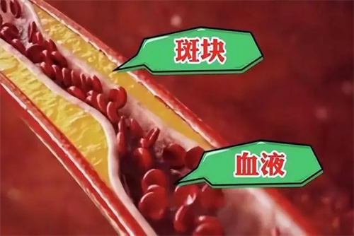 详细展示